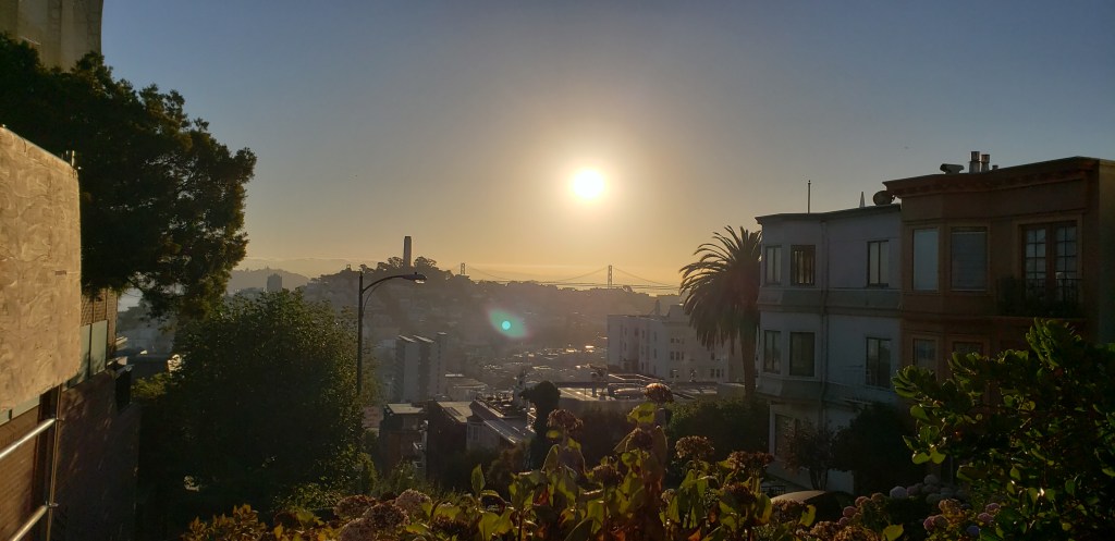 Photo on a hill in San Francisco in the morning. There are succulent flowers in the foreground. The sun is shining out in the sky in the background. From atop, you can see the Golden Gate bridge and the Presidio on the other side of the city.