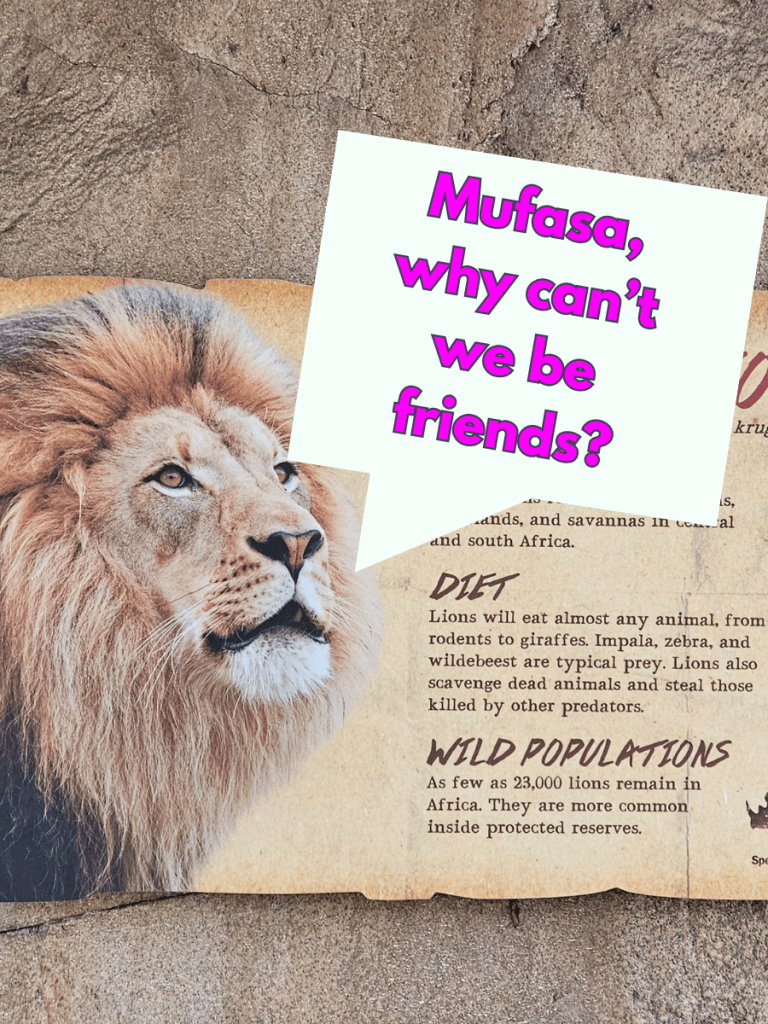 A picture of a lion, the sign at the San Diego Zoo Safari Park at the enclosure. The lion has a caption bubble next to him saying, "Mufasa, why can't we be friends?" referencing the glossary term above, conflict.