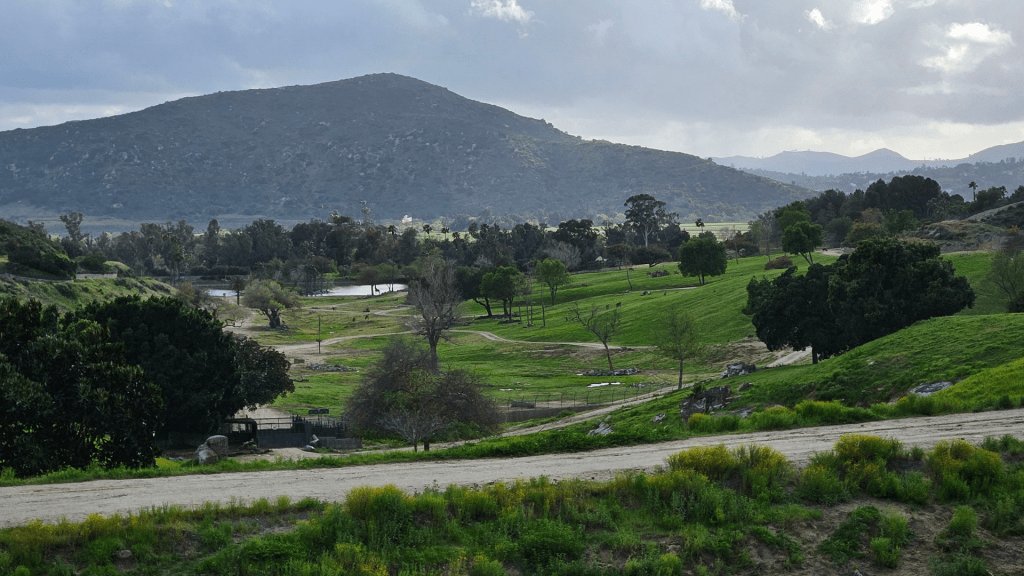 Scenic photo at the very end of the African plains/valley area of the Safari Park. There is green grass, trees and sloping hills with gates for specific animals. Water buffalo, rhinos, giraffes, impala, zebra and giant pelicans live out here. There is a large hill in the background.