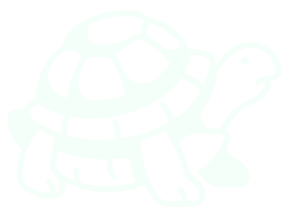 tortoise icon