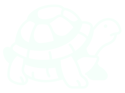 icon of tortoise
