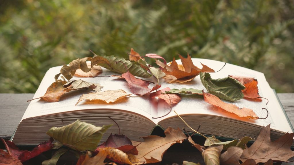 A book open halfway with brown, red and green leaves all over the book. It is daytime. There are more green plants behind the book and leaves in front.